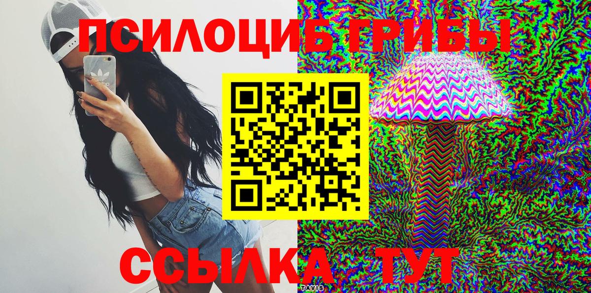 Псилоцибиновые грибы мицелий Улан-Удэ