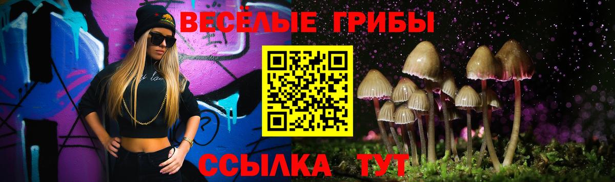Псилоцибиновые грибы Psilocybine cubensis  Вход с VPN  Улан-Удэ 